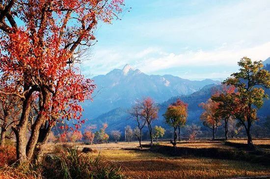 地址:湖北省罗田县九资河镇圣人堂村