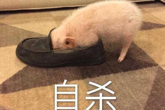 囧哥:自杀未遂,点烟冷静引爆炸