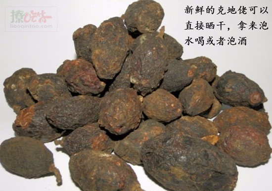 晒干成果脯可以干嚼泡水喝克地老泡酒,甘甜【源生态 更健康】没有错