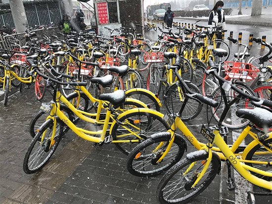 碳纤维自行车品牌土拨鼠MARMOT析中国共享