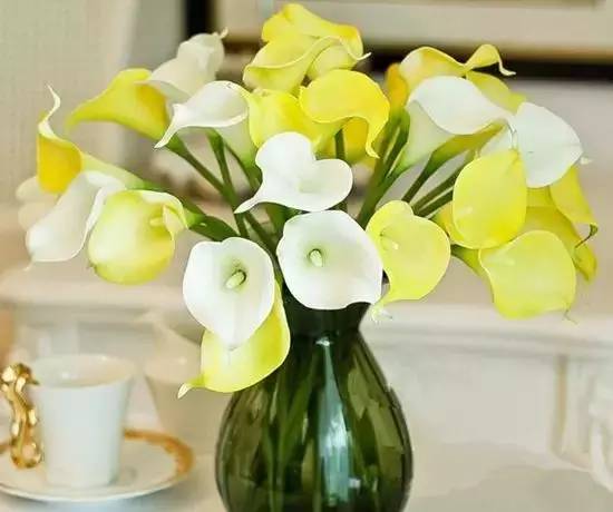 不懂送花?不知道送什么花?看完这篇,教你做一