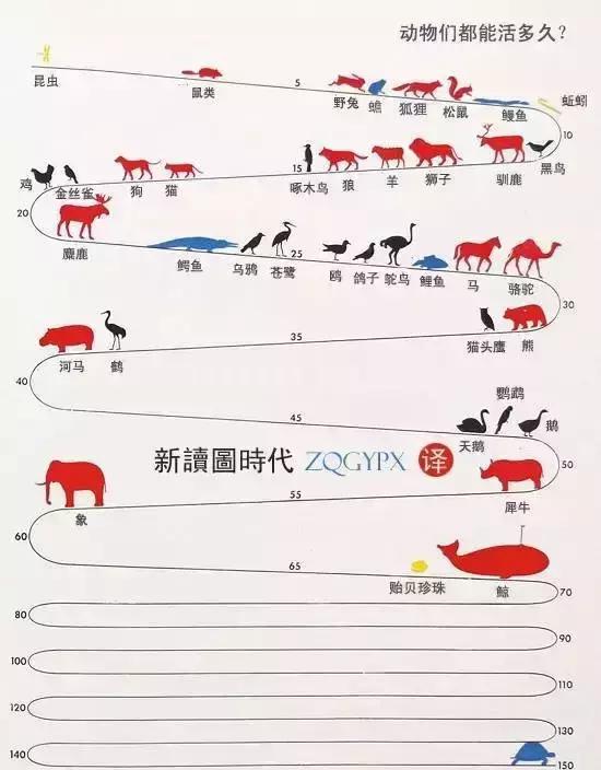动物的平均寿命