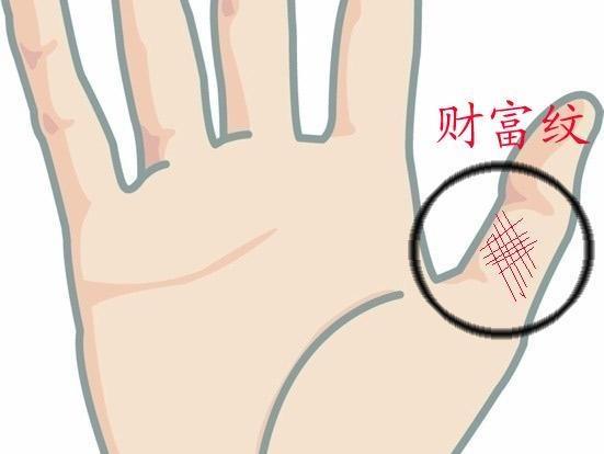 老总命断掌_女人断掌是什么命(2)