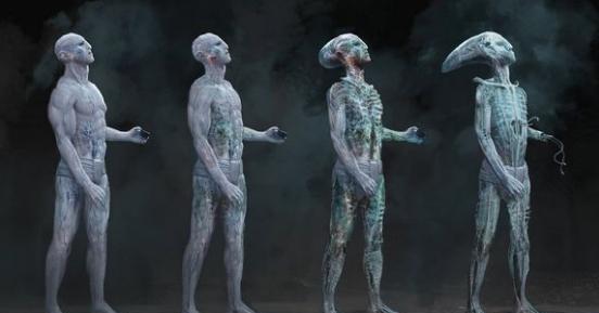 法鲨主演《异形:契约续集》最新概念图泄露,请准备好你的尖叫