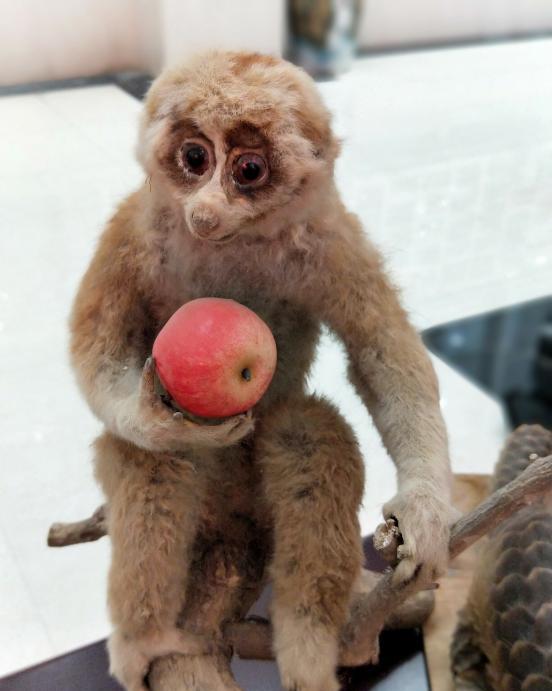 上周六,防城港最热闹的地方在这里