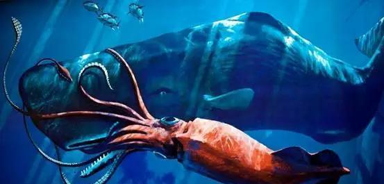 五一假期,哈尔滨人如何500块钱玩转大连、看真实的科比?