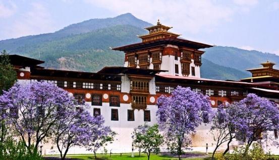 在这个国家抽烟居然要罚款, 带烟要坐牢, 中国人