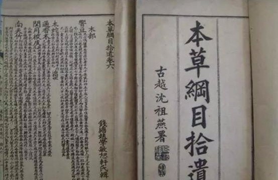 明代李时珍的《本草纲目》之后,清代有哪些医学著作值得关注?