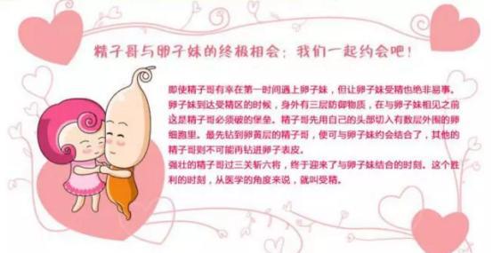女生取卵是什么意思