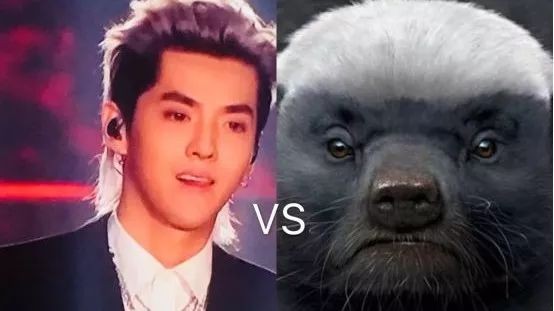 聚焦 |  A+级“扛鼎新作”能否为帝豪GL创造更多的碰头彩？