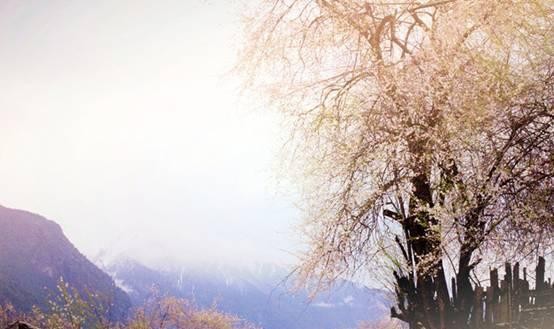 任性的西藏自驾游，你想去体验一次吗？