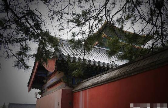 揭秘故宫为什么晚上不开放,各种灵异事件众多,尤其是冷宫