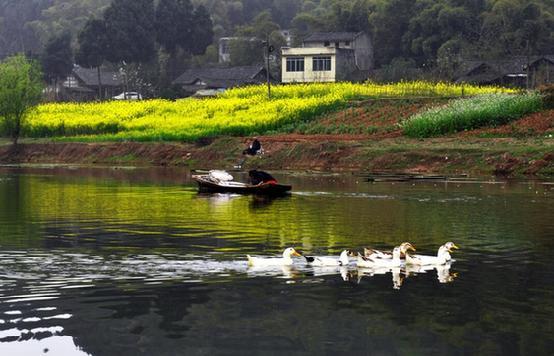 重庆到成都正在规划一条时速350新高铁,沿途经