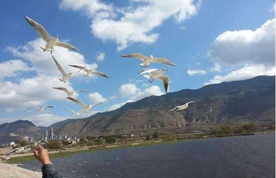 云南省一县级市,人口超130万,名字起得非常霸