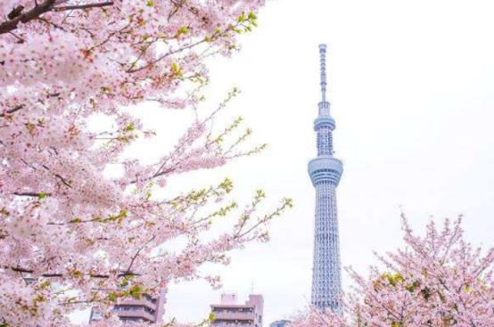 有关民族荣辱,中国人到底该不该去日本旅游,买