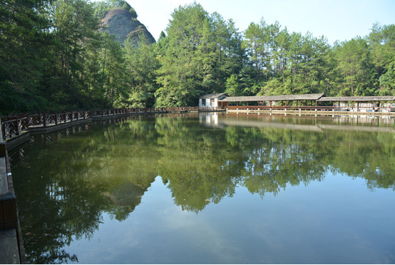 一个名称读音要由国家部门才能确定的生命神