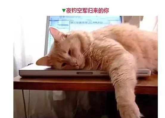 钓鱼人的那些表情，看看你中了几个