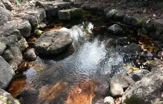 久温塘火山冷泉水为无色,无味,清澈透明,长年水温23℃～25℃,夏凉冬暖