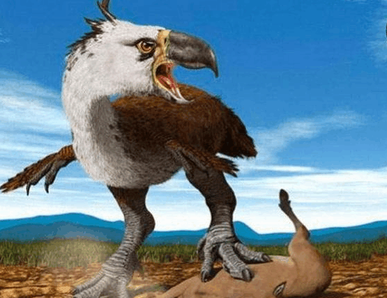 盘点远古时期的四大巨鸟, 2.5米高的泰坦鸟竟排