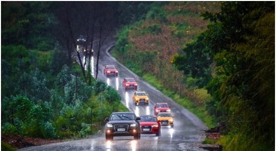 看！一只壁虎在漫步！