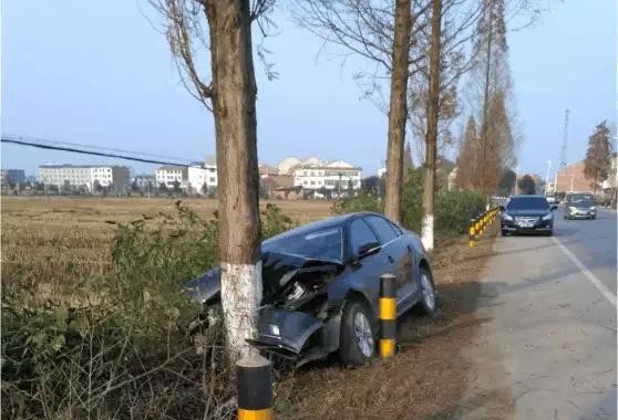 男子驾驶大众速腾回农村，还没到家就撞树，车主：树的质量比车好