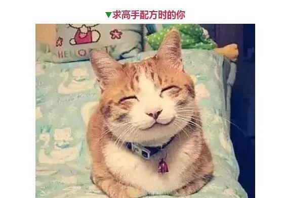 钓鱼人的那些表情，看看你中了几个