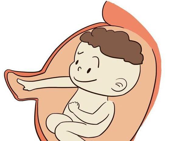 怀孕五个月晚上刚一躺下宝宝就开始胎动,这三