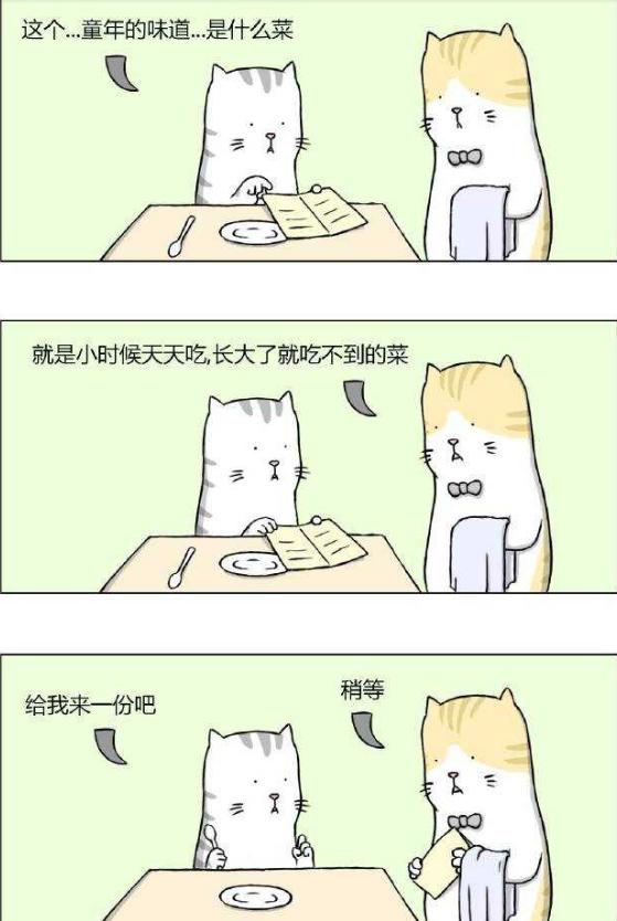 幽默的食物