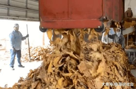 60元一包的中华香烟, 成本到底是多少钱呢? 说