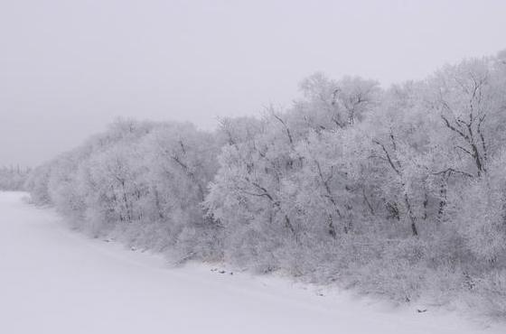 老公走后的第三十五天，家里下雪了，你那边冷吗（看哭）