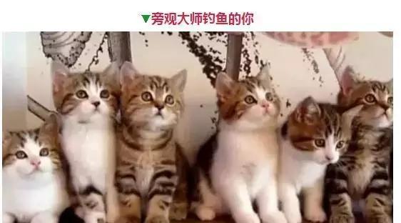 钓鱼人的那些表情，看看你中了几个