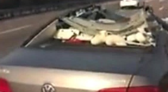 实拍高速路上被削成敞篷车，司机命大毫发无损