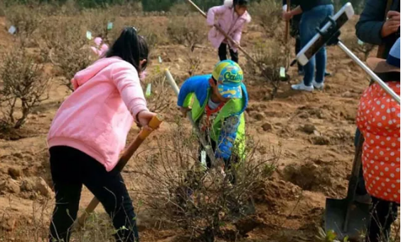 你为大地披新绿,我为旅游添风景!