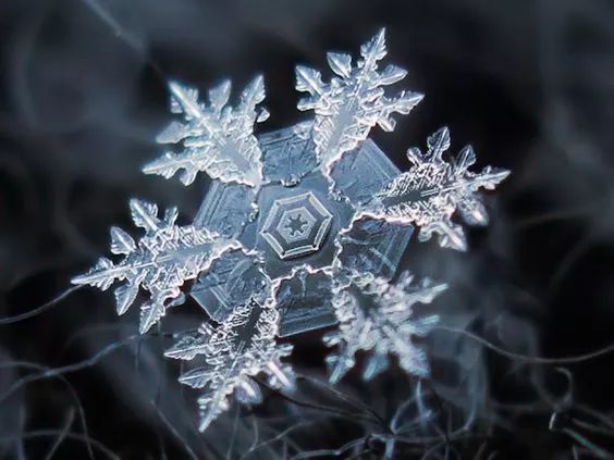 放大镜下的雪花,竟是如此高贵美艳!