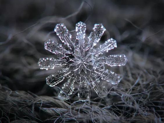 放大镜下的雪花,竟是如此高贵美艳!
