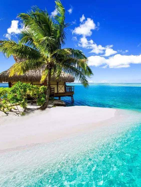 海南三亚又被成为东方夏威夷,具有全岛最美丽的海滨风景.