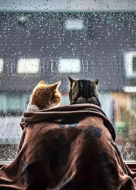 婚姻里最令女人失望的不是穷,而是看不到希望