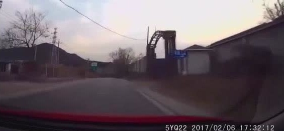 急弯道SUV还占道超车，我无奈撞树