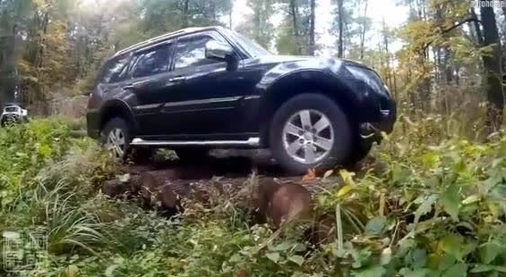 真带劲！看4驱SUV越野车队丛林冒险