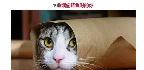 钓鱼人的那些表情，看看你中了几个