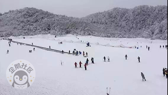 冬天怎么能错过耍雪 重庆周边10大滑雪场全攻略