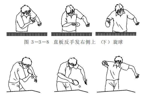 乒乓球发球技术和11种发球方法(国家教练指导)