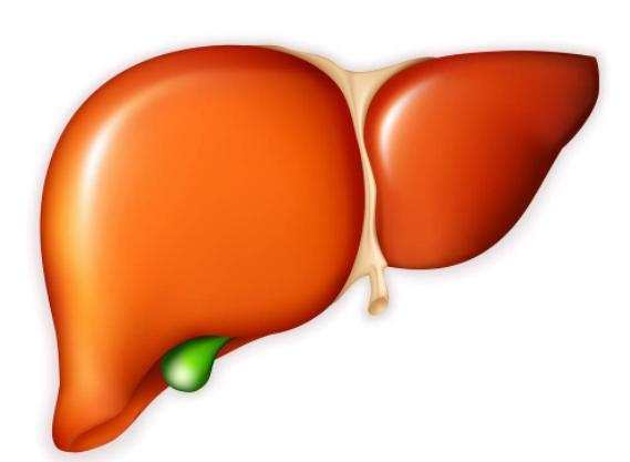 4个信号说明肝毒太深, 1招快速排肝毒