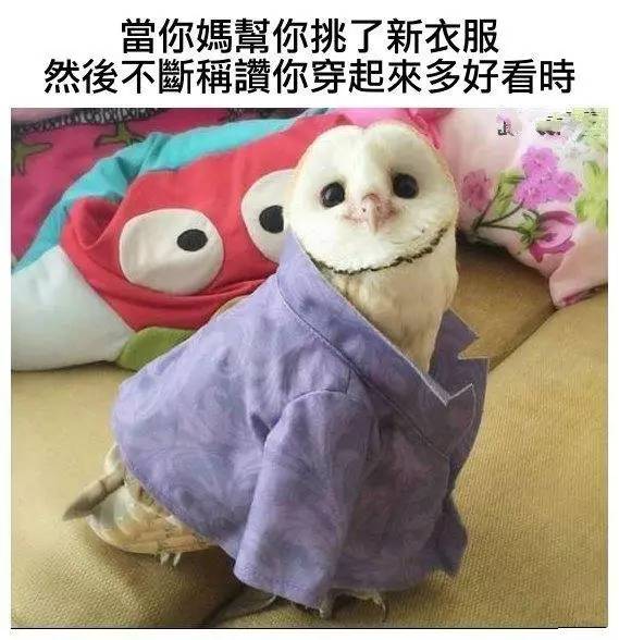 搞笑图片搞笑段子：现在的游戏都喜欢这样打广告了