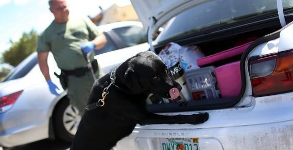 扒一扒毒贩们为啥喜欢用租来的车贩毒