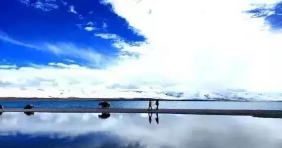 想来西藏吗？只此一篇就够啦，快快收藏