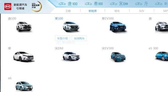 比亚迪纯电动车有那些型号？