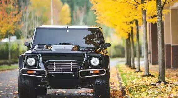 稀有的蛮牛物种 1990年兰博基尼LM002美国特别版本