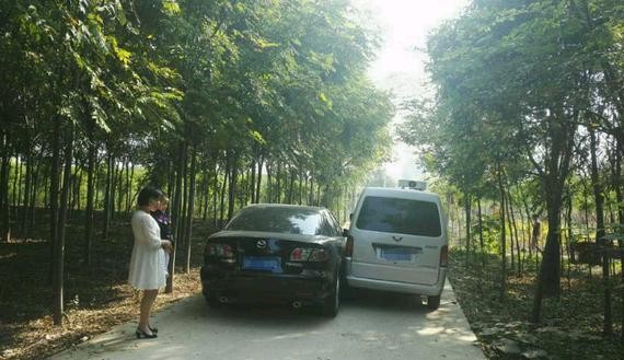 客货混装的五菱车主被日系车讹诈，求救网友该怎么办？