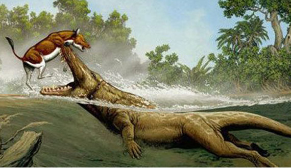 盘点全球三大罕见怪兽,第二个竟以鳄鱼为食,最